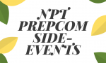 Evaluation of IPB´s Side Events during the NPT PrepCom 2019