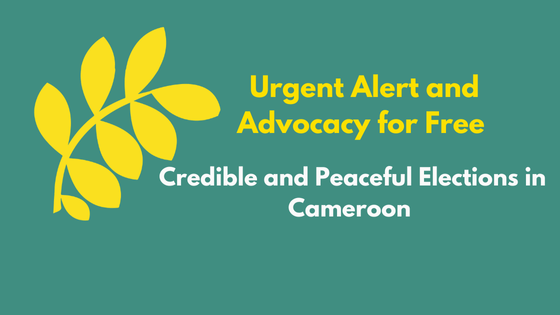 Urgent Alert and Advocacy for Free, Credible and Peaceful Elections in Cameroon